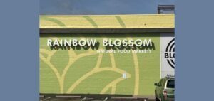 Read more about the article Rainbow Blossom CEO Reflects on Overcoming Struggles and Driving Growth